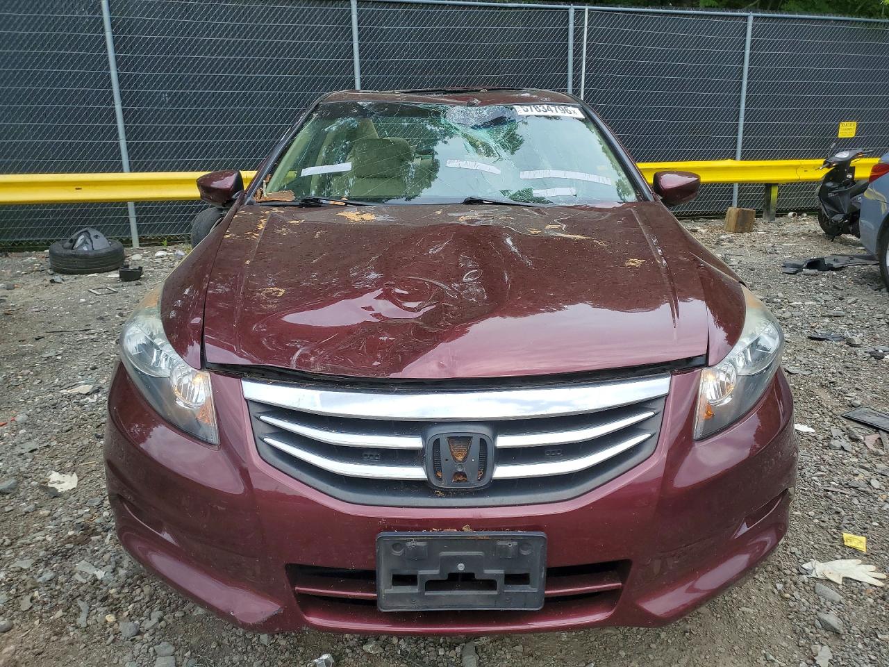 2012 Honda Accord Exl Maroon vin: 1HGCP3F83CA013784