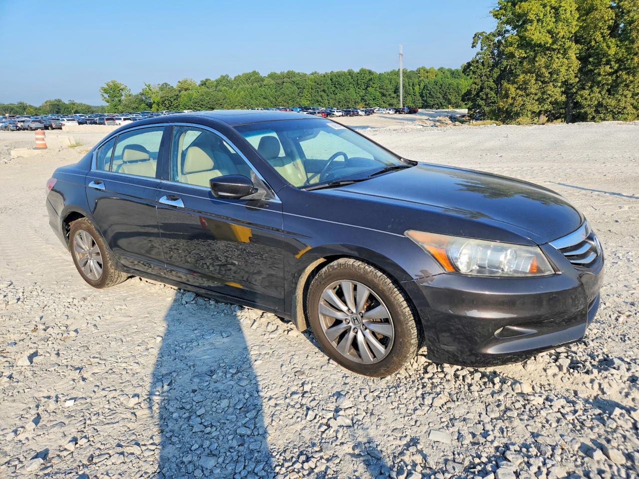2012 Honda Accord Exl Gray vin: 1HGCP3F83CA018659