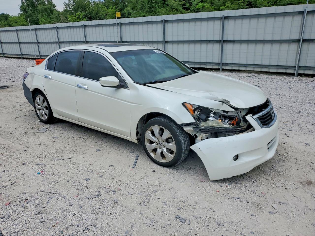 2010 Hond Accord Exl White vin: 1HGCP3F84AA016819