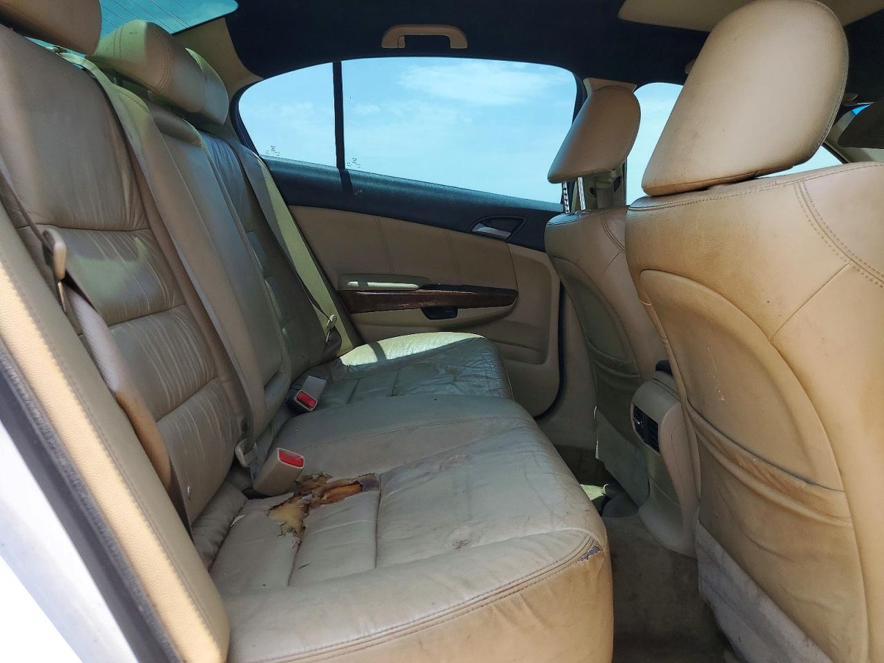 2011 Honda Accord Exl White vin: 1HGCP3F84BA000217