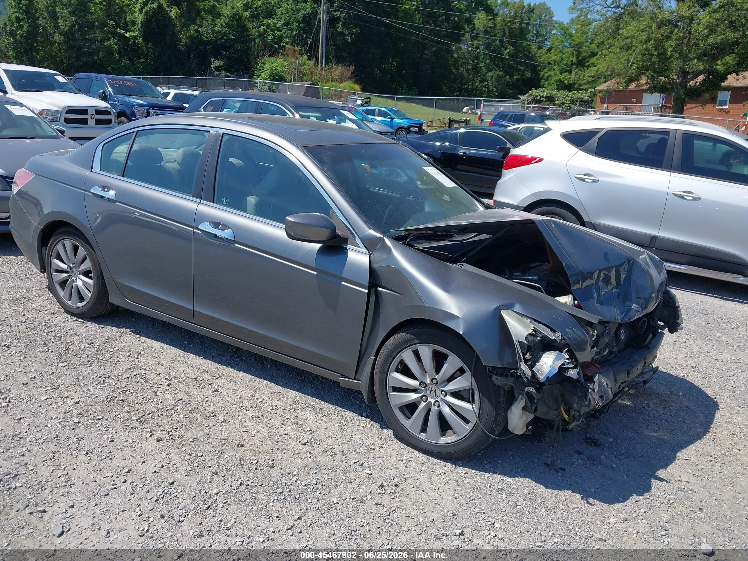 2011 Honda Accord 3.5 Ex-l Gray vin: 1HGCP3F84BA008768