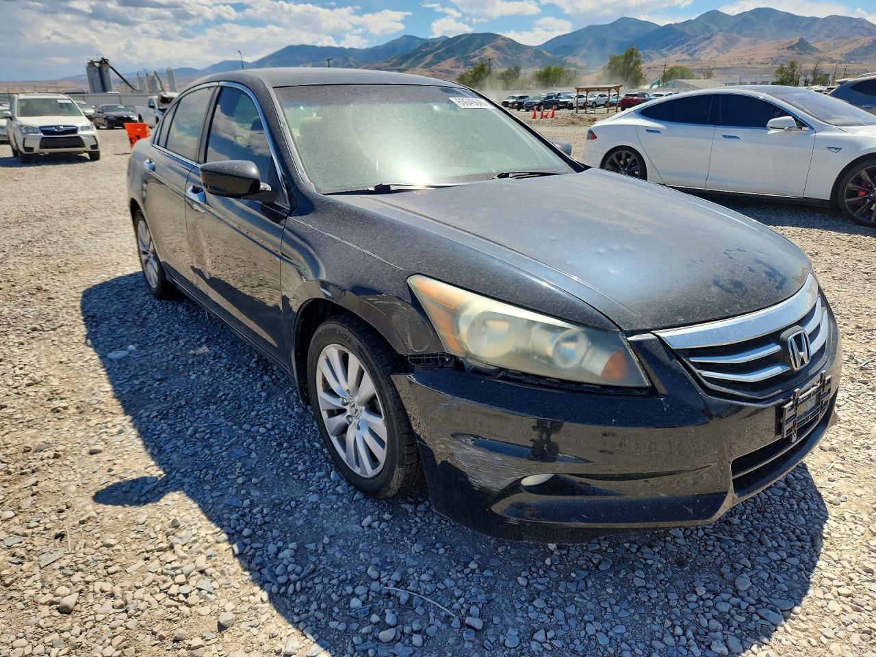 2011 Honda Accord Exl Black vin: 1HGCP3F84BA012755