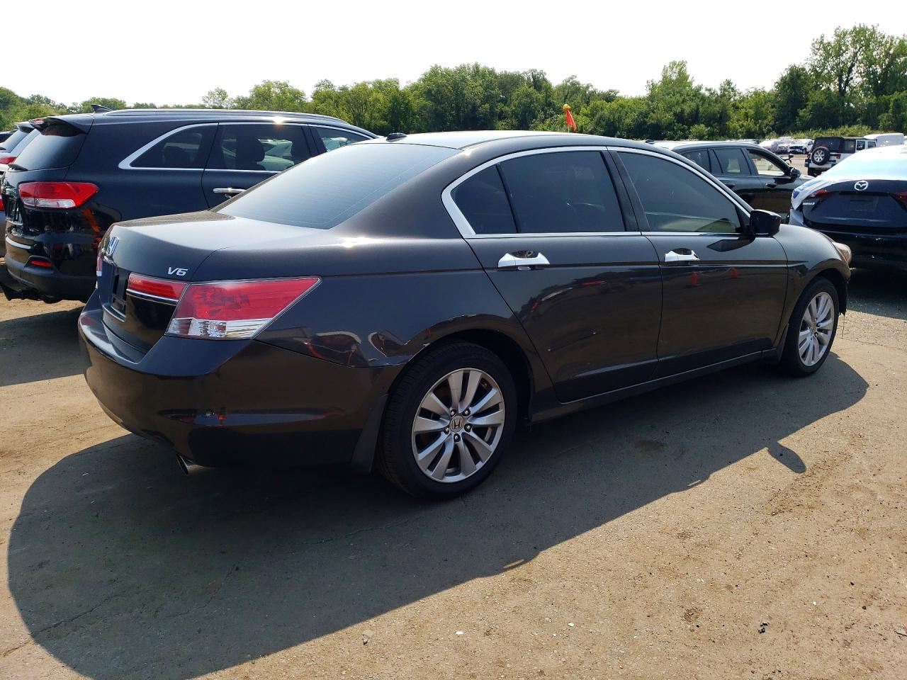 2011 Honda Accord Exl Charcoal vin: 1HGCP3F84BA013436
