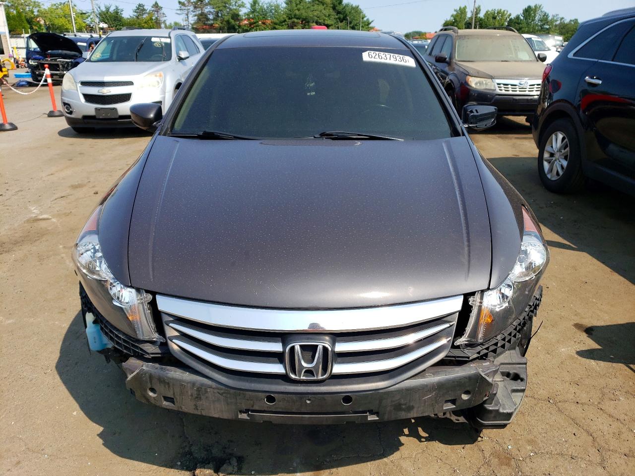 2011 Honda Accord Exl Charcoal vin: 1HGCP3F84BA013436