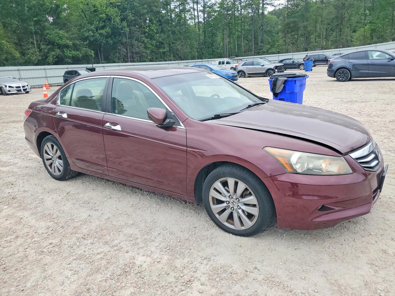 2011 Honda Accord Exl Burgundy vin: 1HGCP3F84BA022055