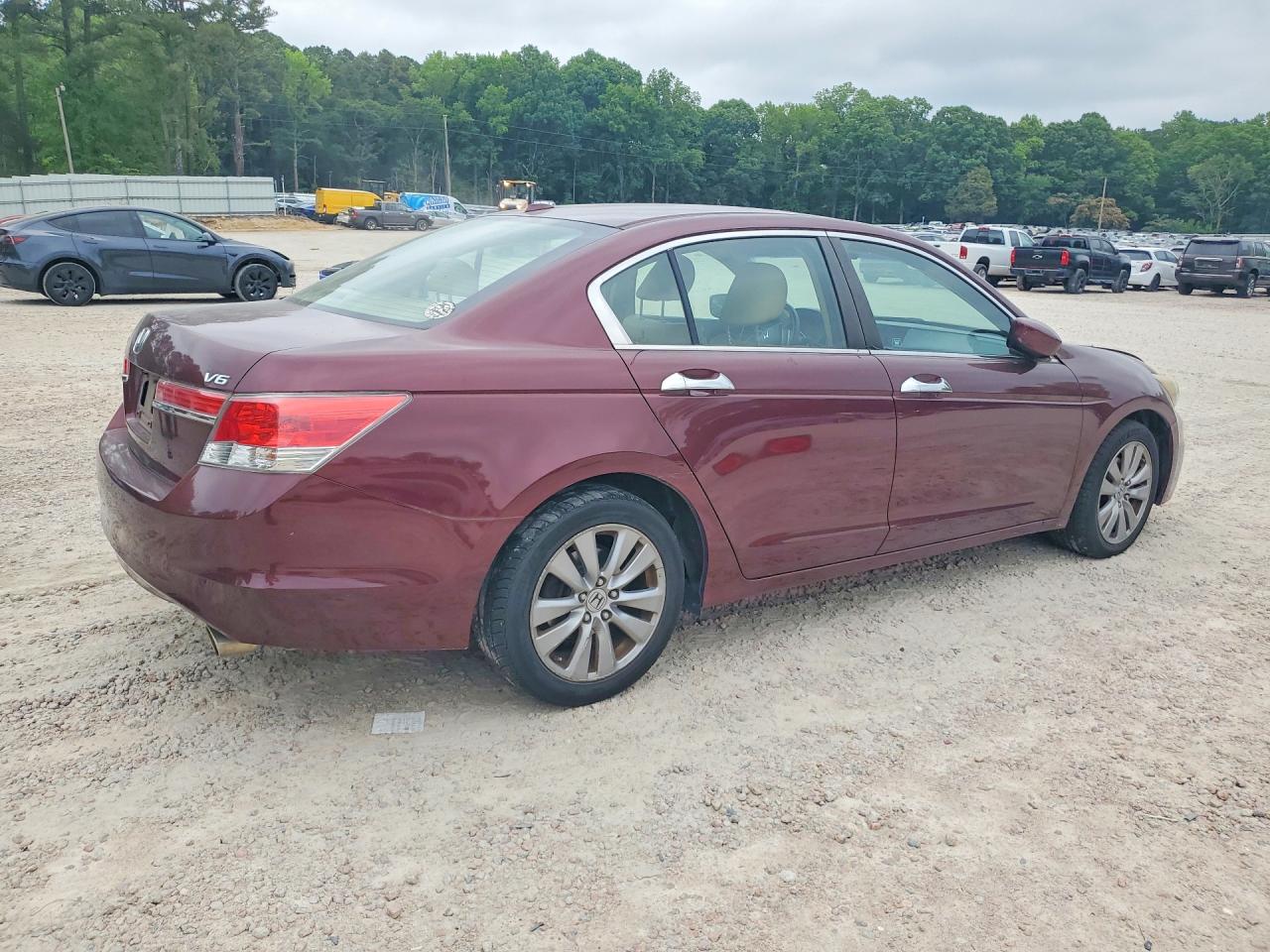 2011 Honda Accord Exl Burgundy vin: 1HGCP3F84BA022055