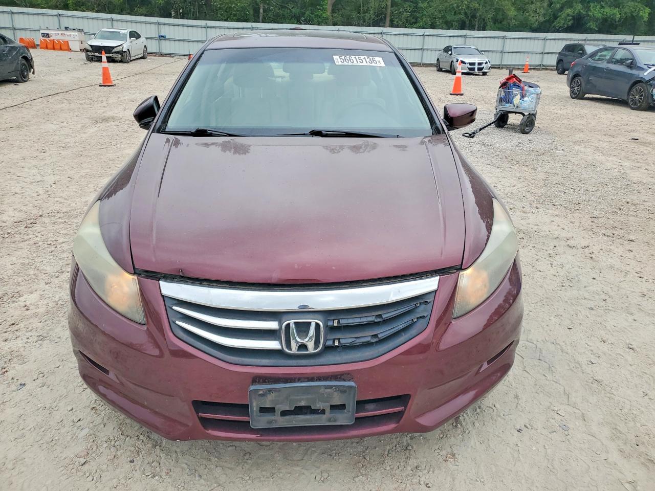 2011 Honda Accord Exl Burgundy vin: 1HGCP3F84BA022055