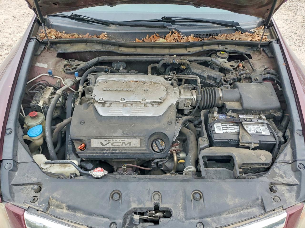 2011 Honda Accord Exl Burgundy vin: 1HGCP3F84BA022055