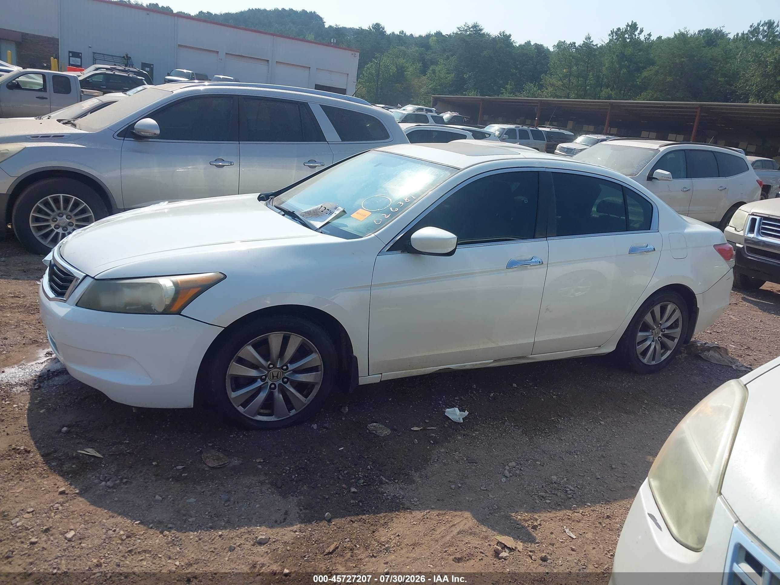 2011 Honda Accord 3.5 Ex-l White vin: 1HGCP3F84BA026381