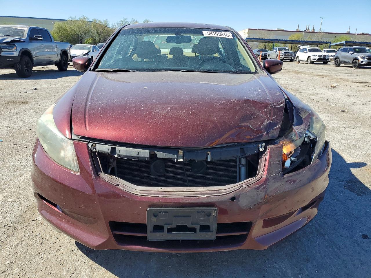 2011 Honda Accord Exl Бордовый vin: 1HGCP3F84BA028633