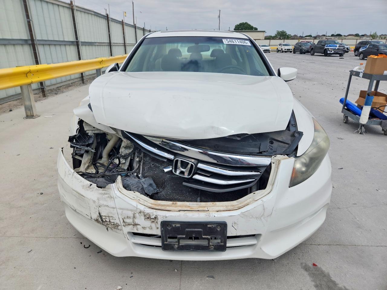 2011 Honda Accord Exl White vin: 1HGCP3F84BA032892