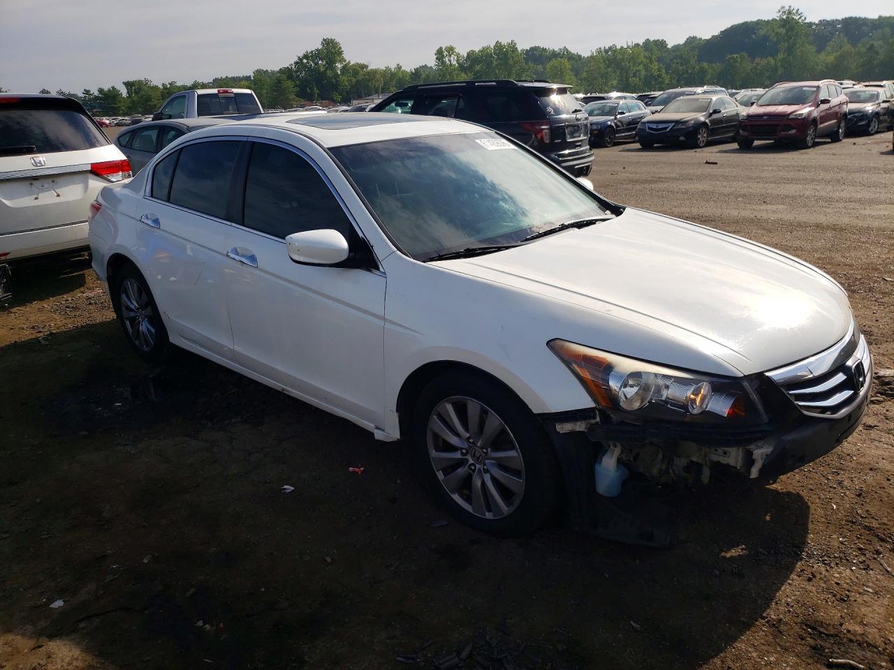 2012 Honda Accord Exl White vin: 1HGCP3F84CA001224