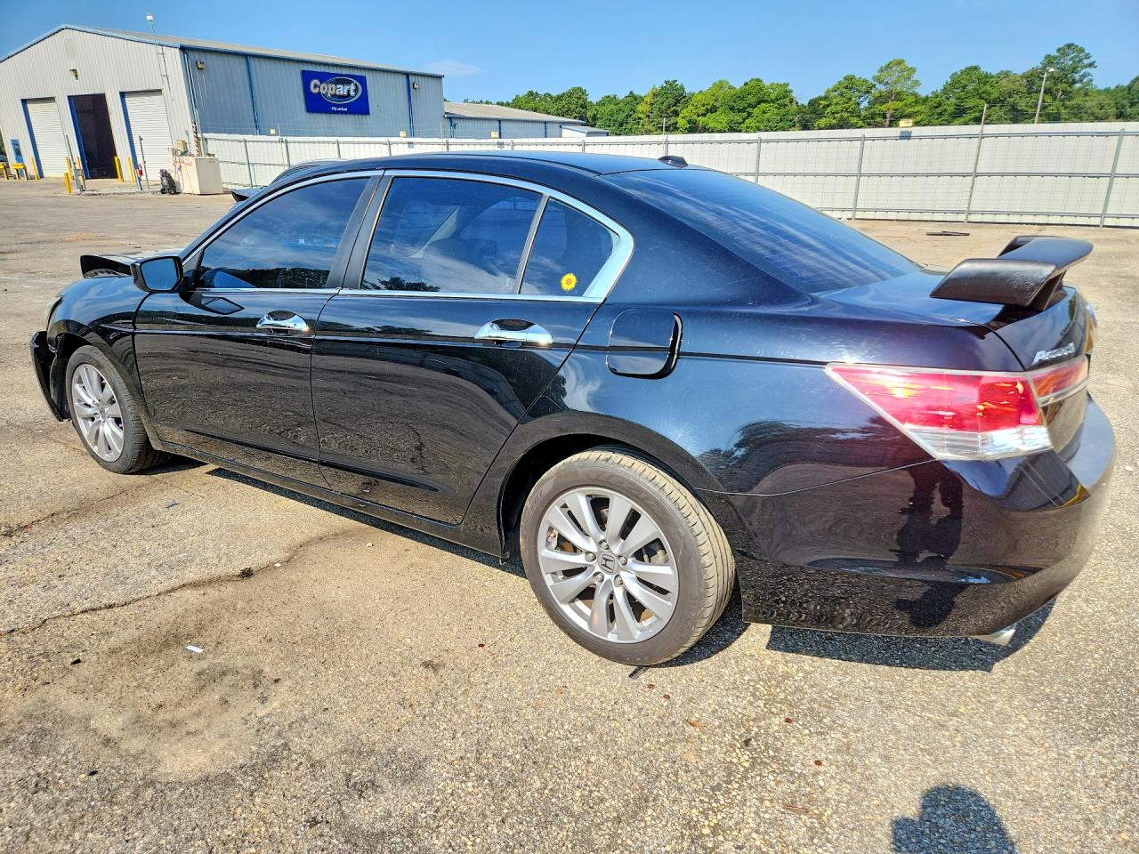 2012 Honda Accord Exl Black vin: 1HGCP3F84CA007735