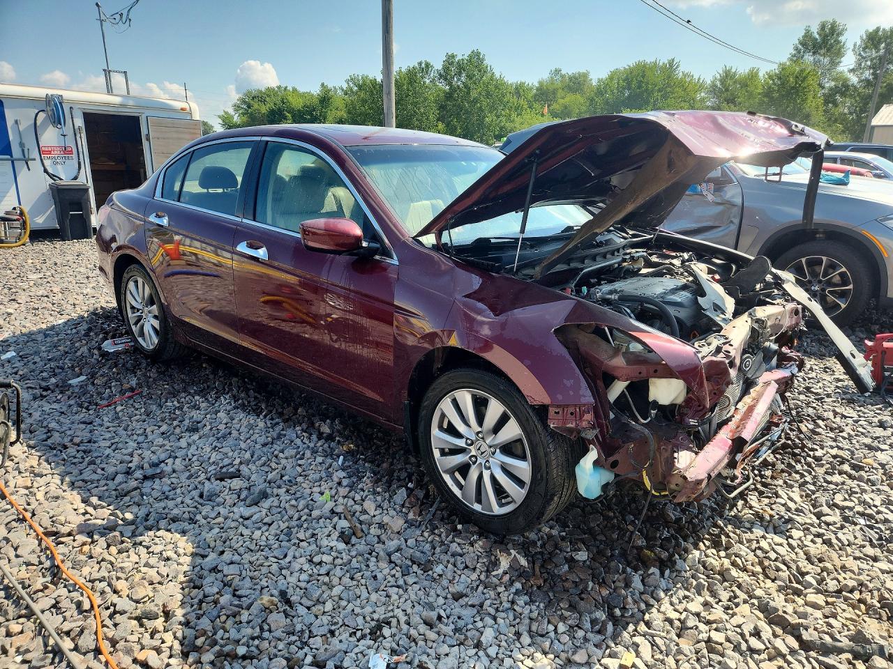 2012 Honda Accord Exl Burgundy vin: 1HGCP3F84CA010795