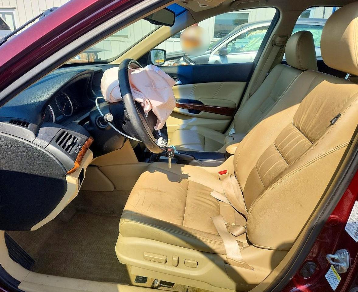 2012 Honda Accord Exl Burgundy vin: 1HGCP3F84CA010795