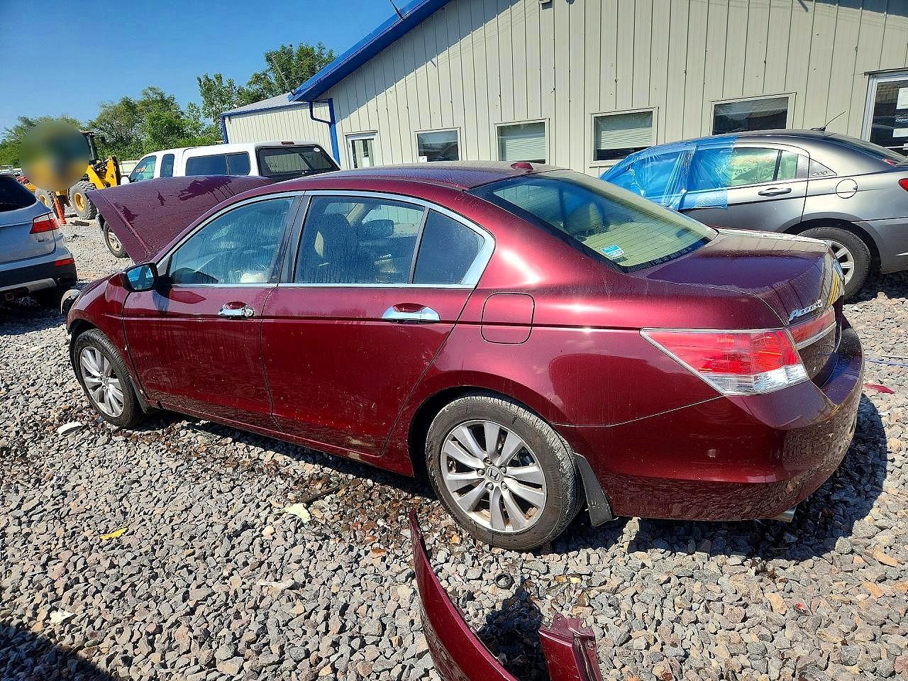 2012 Honda Accord Exl Burgundy vin: 1HGCP3F84CA010795
