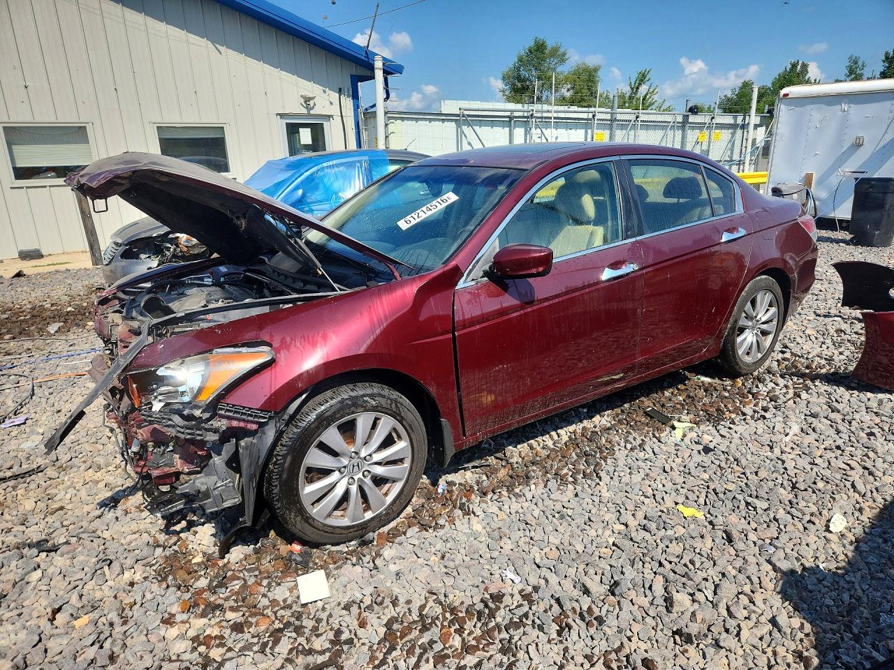 2012 Honda Accord Exl Burgundy vin: 1HGCP3F84CA010795