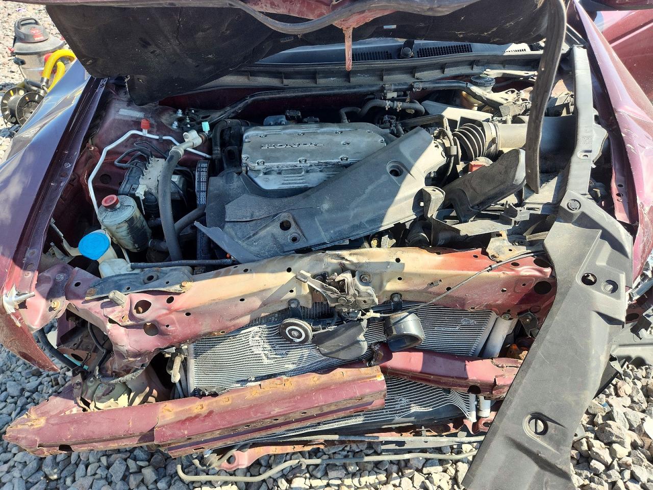 2012 Honda Accord Exl Burgundy vin: 1HGCP3F84CA010795