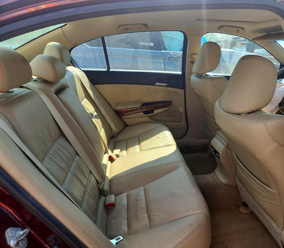 2012 Honda Accord Exl Burgundy vin: 1HGCP3F84CA010795