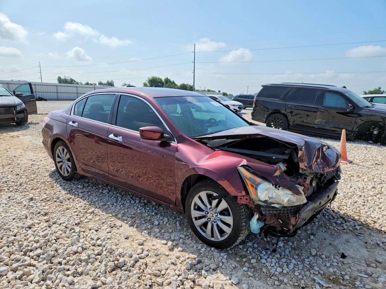2012 Honda Accord Exl Burgundy vin: 1HGCP3F84CA027290