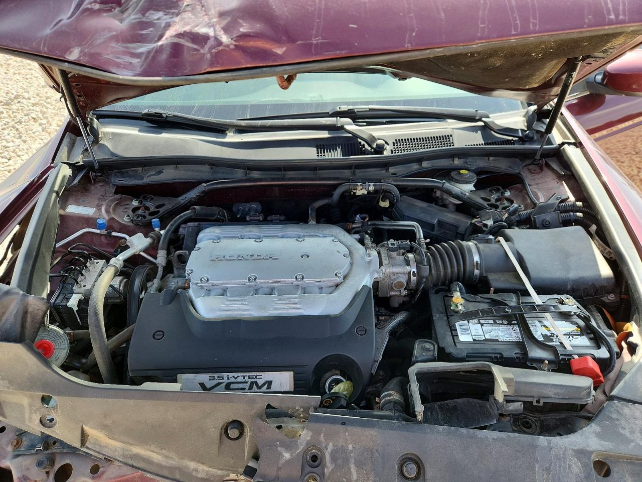 2012 Honda Accord Exl Burgundy vin: 1HGCP3F84CA027290