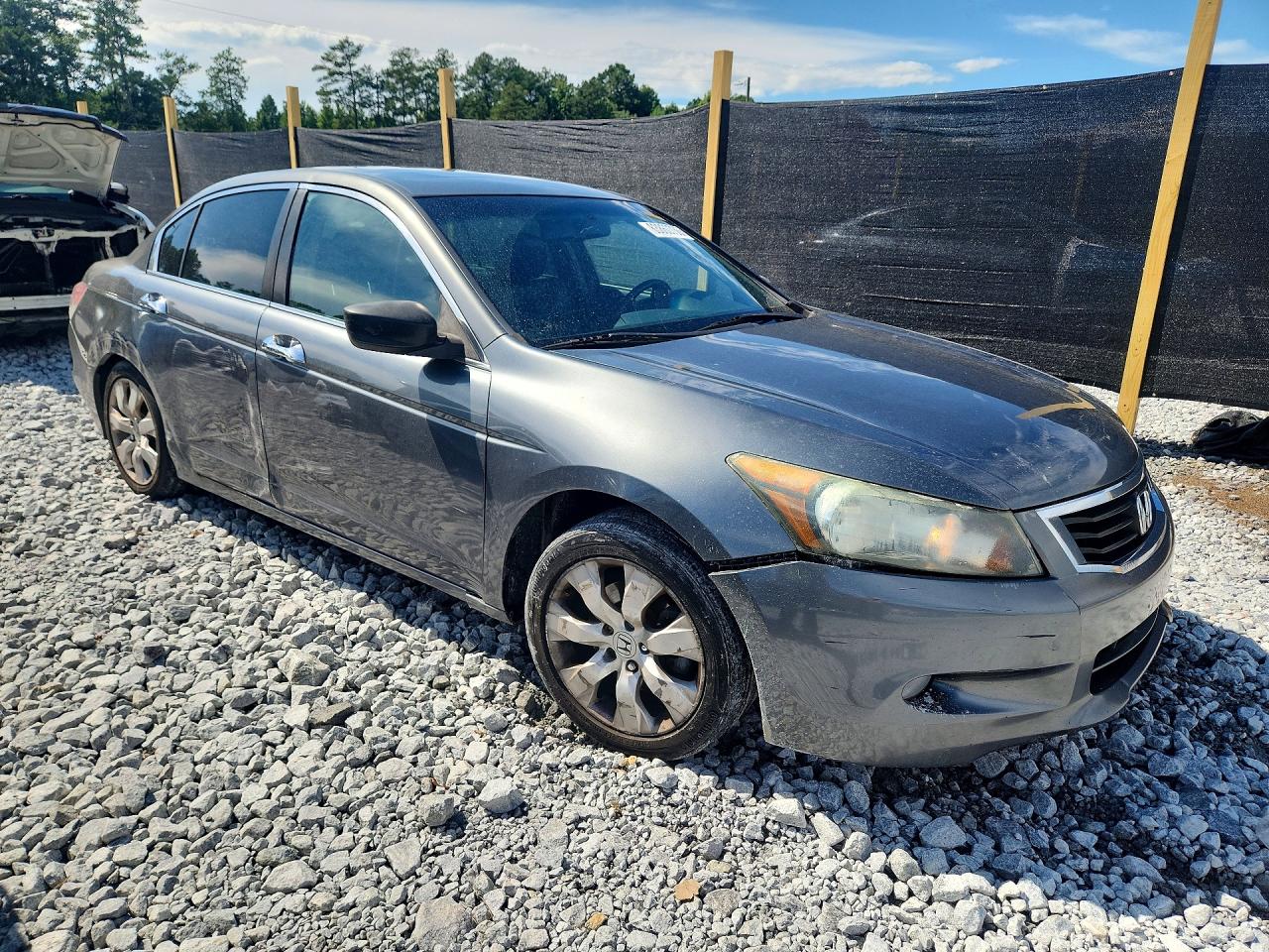 2010 Honda Accord Exl Gray vin: 1HGCP3F85AA001374
