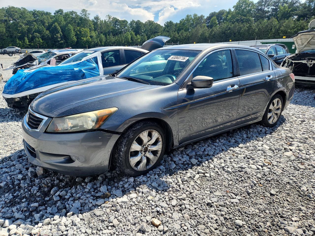 2010 Honda Accord Exl Gray vin: 1HGCP3F85AA001374