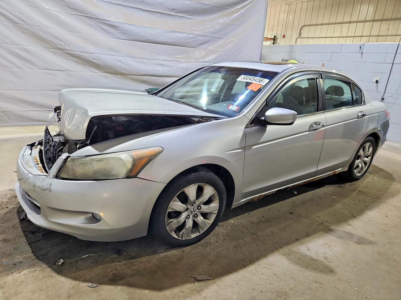 2010 Honda Accord Exl Silver vin: 1HGCP3F85AA004971
