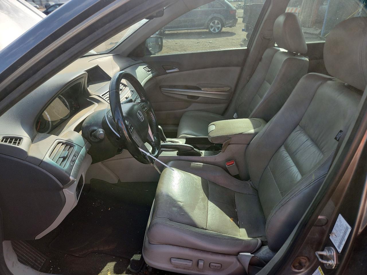 2010 Honda Accord Exl Gray vin: 1HGCP3F85AA013640