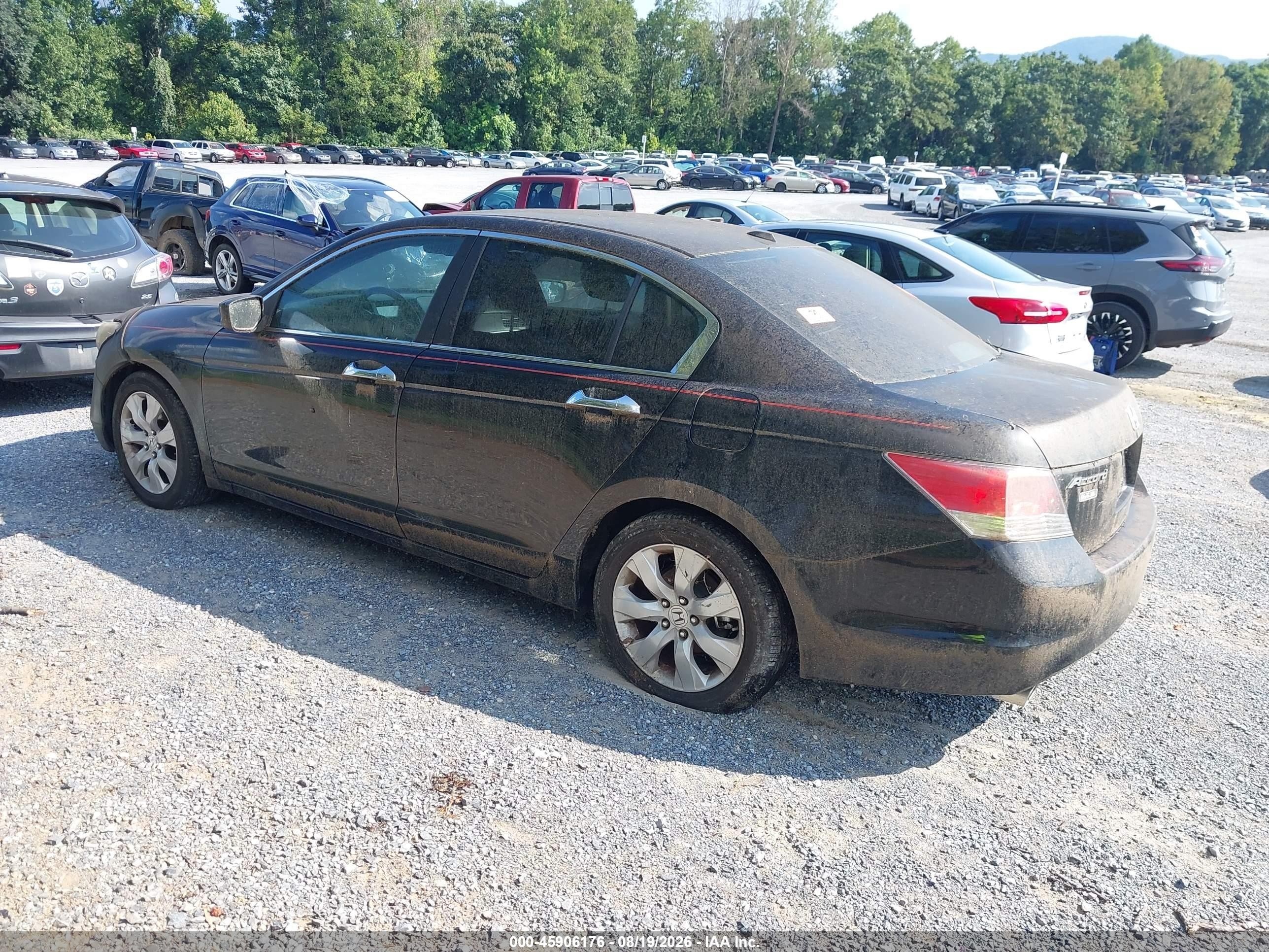 2010 Honda Accord 3.5 Ex-l Black vin: 1HGCP3F85AA015159
