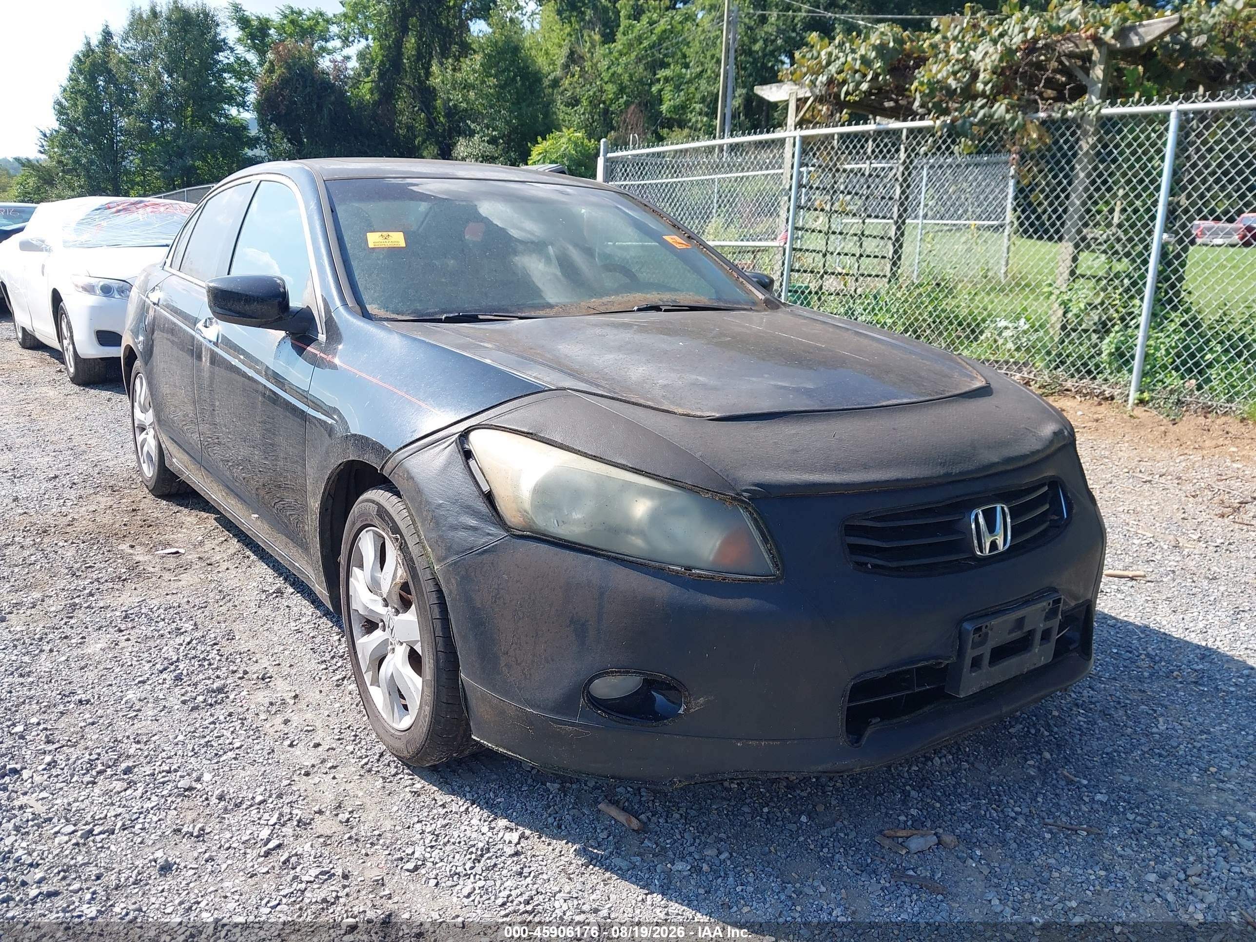 2010 Honda Accord 3.5 Ex-l Black vin: 1HGCP3F85AA015159