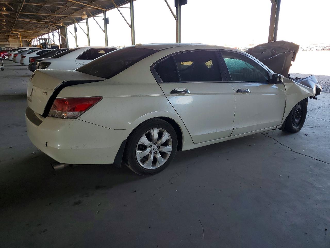 2010 Honda Accord Exl White vin: 1HGCP3F85AA026758