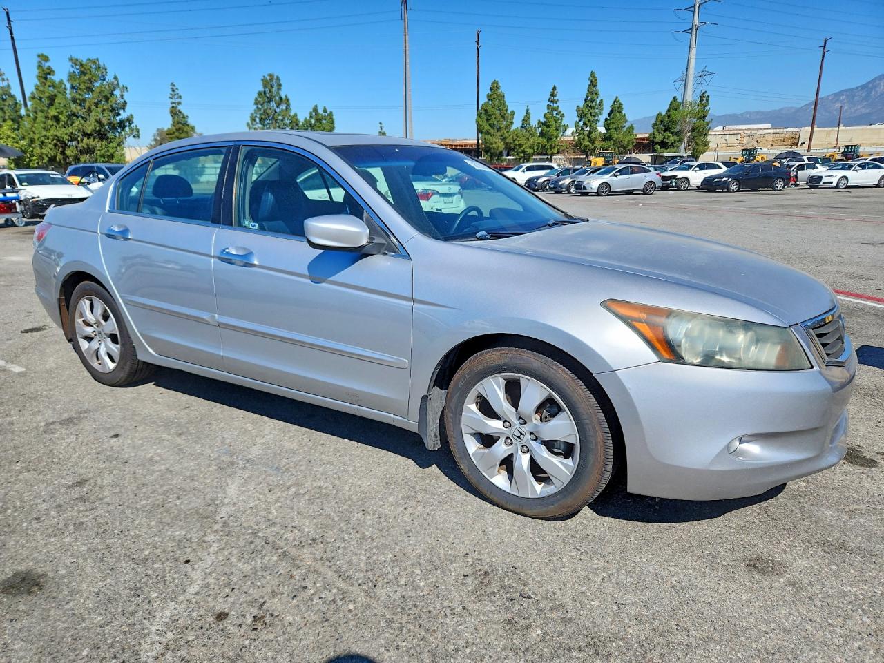 2010 Honda Accord Exl Silver vin: 1HGCP3F85AA030079