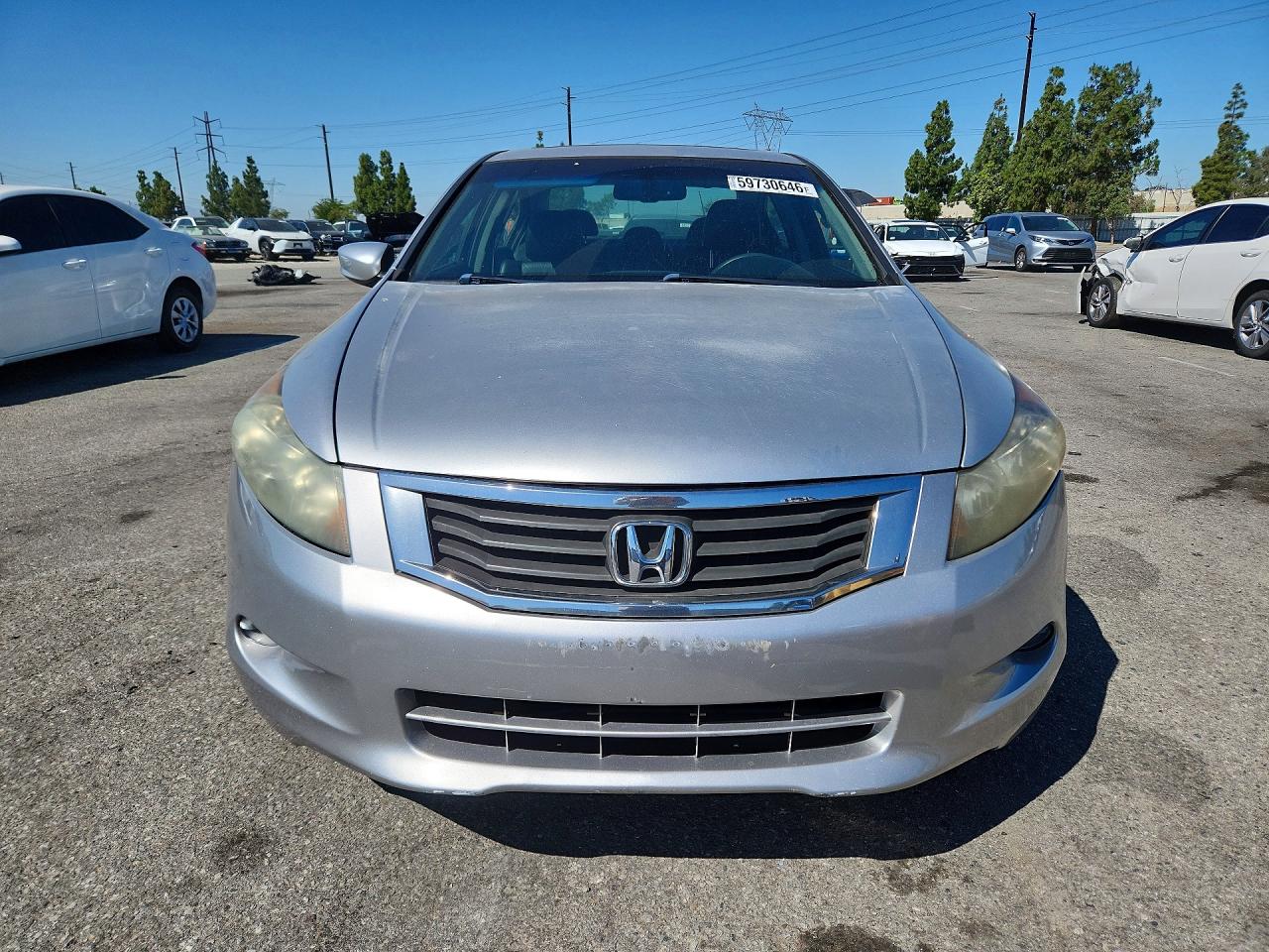 2010 Honda Accord Exl Silver vin: 1HGCP3F85AA030079
