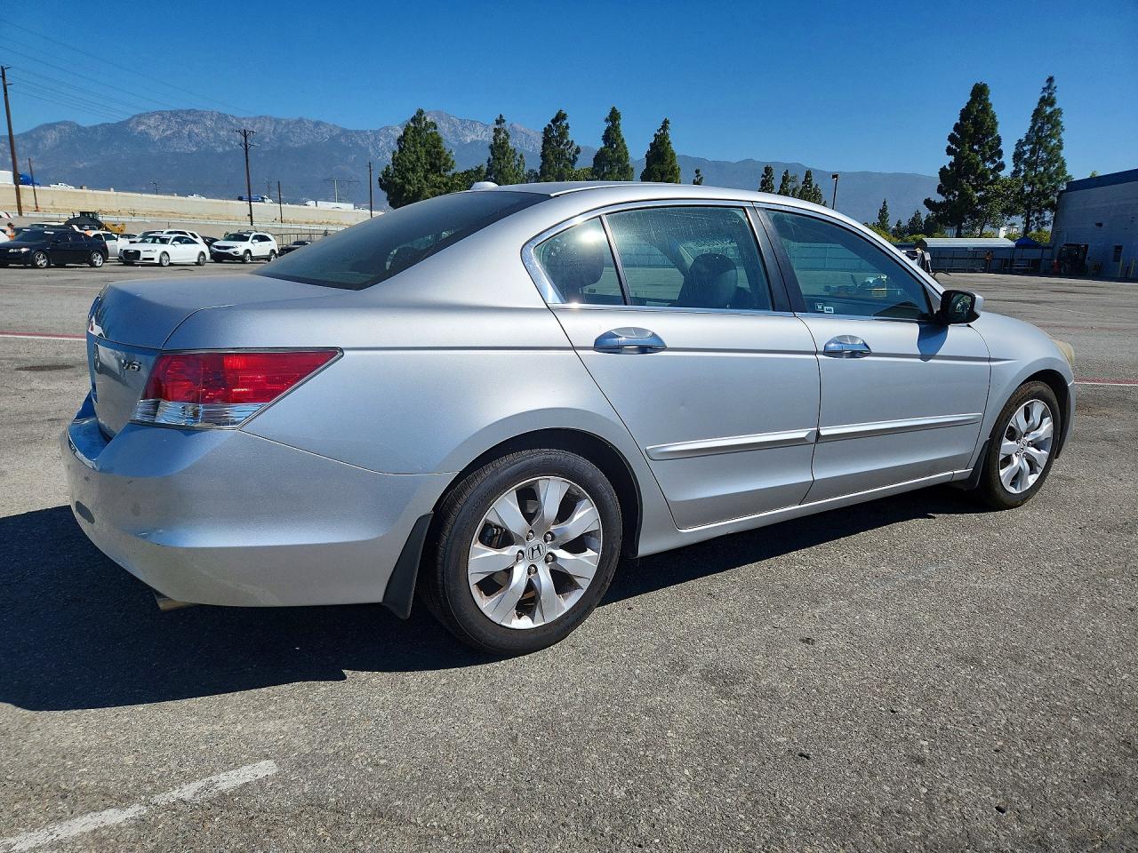 2010 Honda Accord Exl Silver vin: 1HGCP3F85AA030079