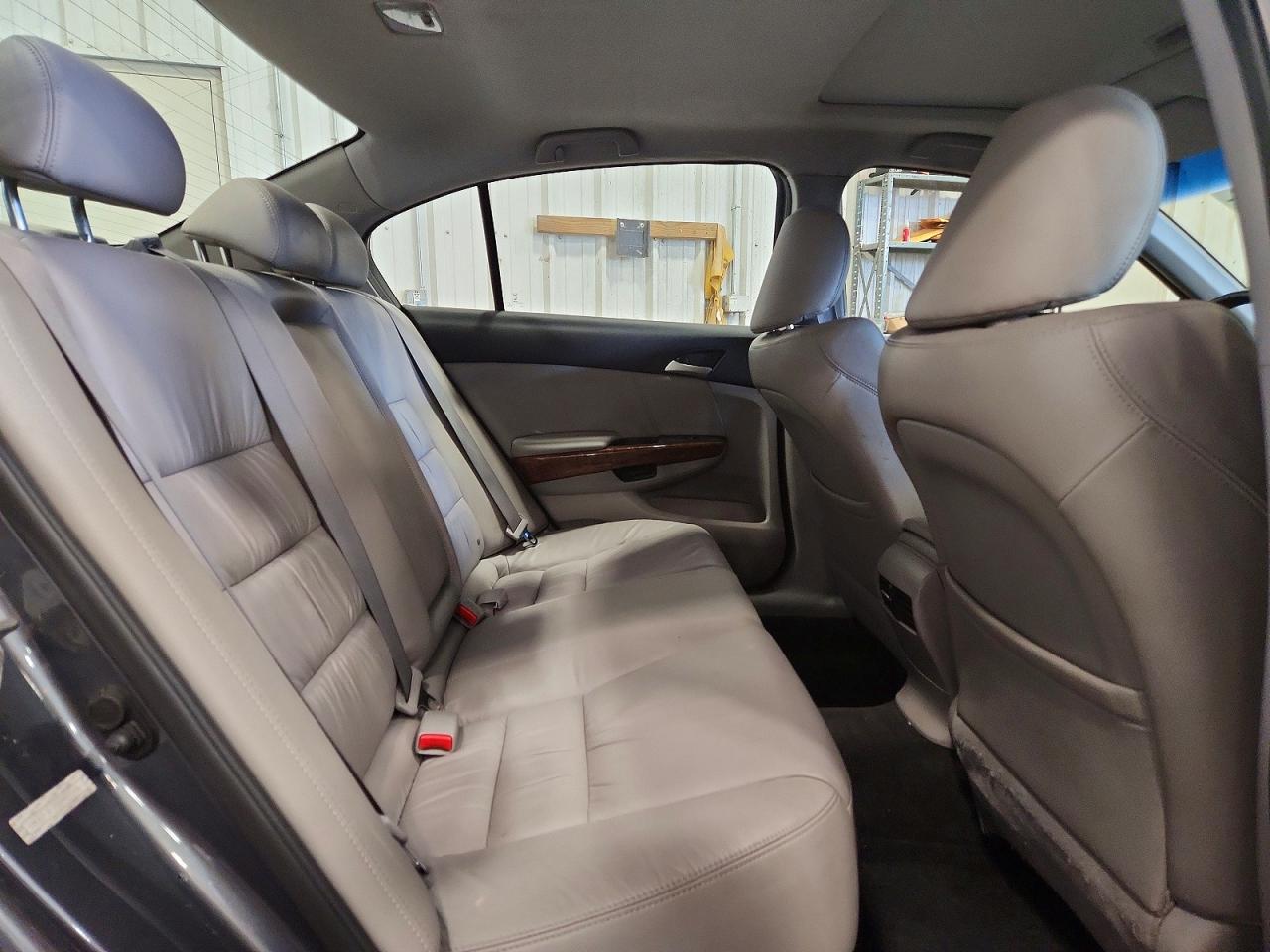 2011 Honda Accord Exl Gray vin: 1HGCP3F85BA005586