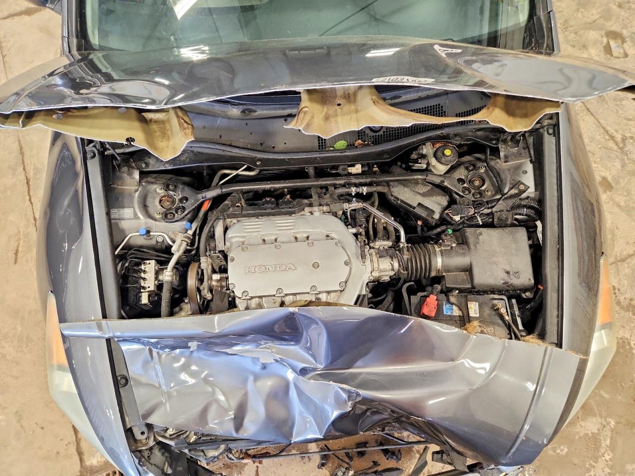 2011 Honda Accord Exl Gray vin: 1HGCP3F85BA005586