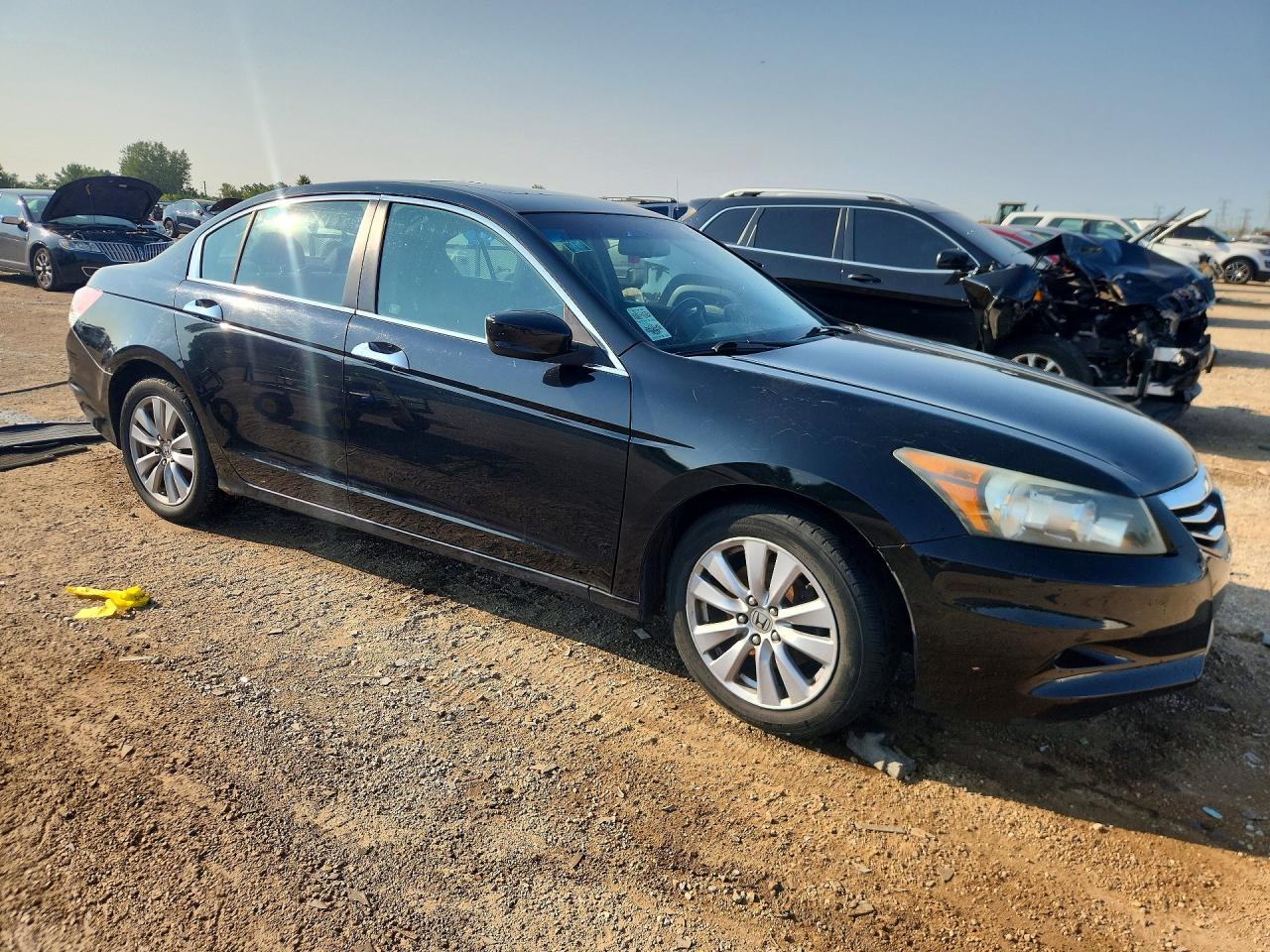 2011 Honda Accord Exl Black vin: 1HGCP3F85BA008956