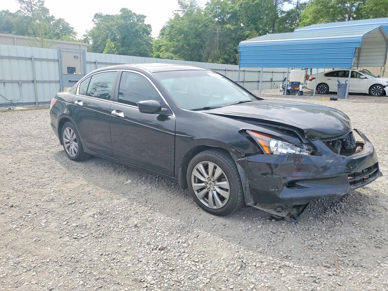 2011 Honda Accord Exl Black vin: 1HGCP3F85BA015468