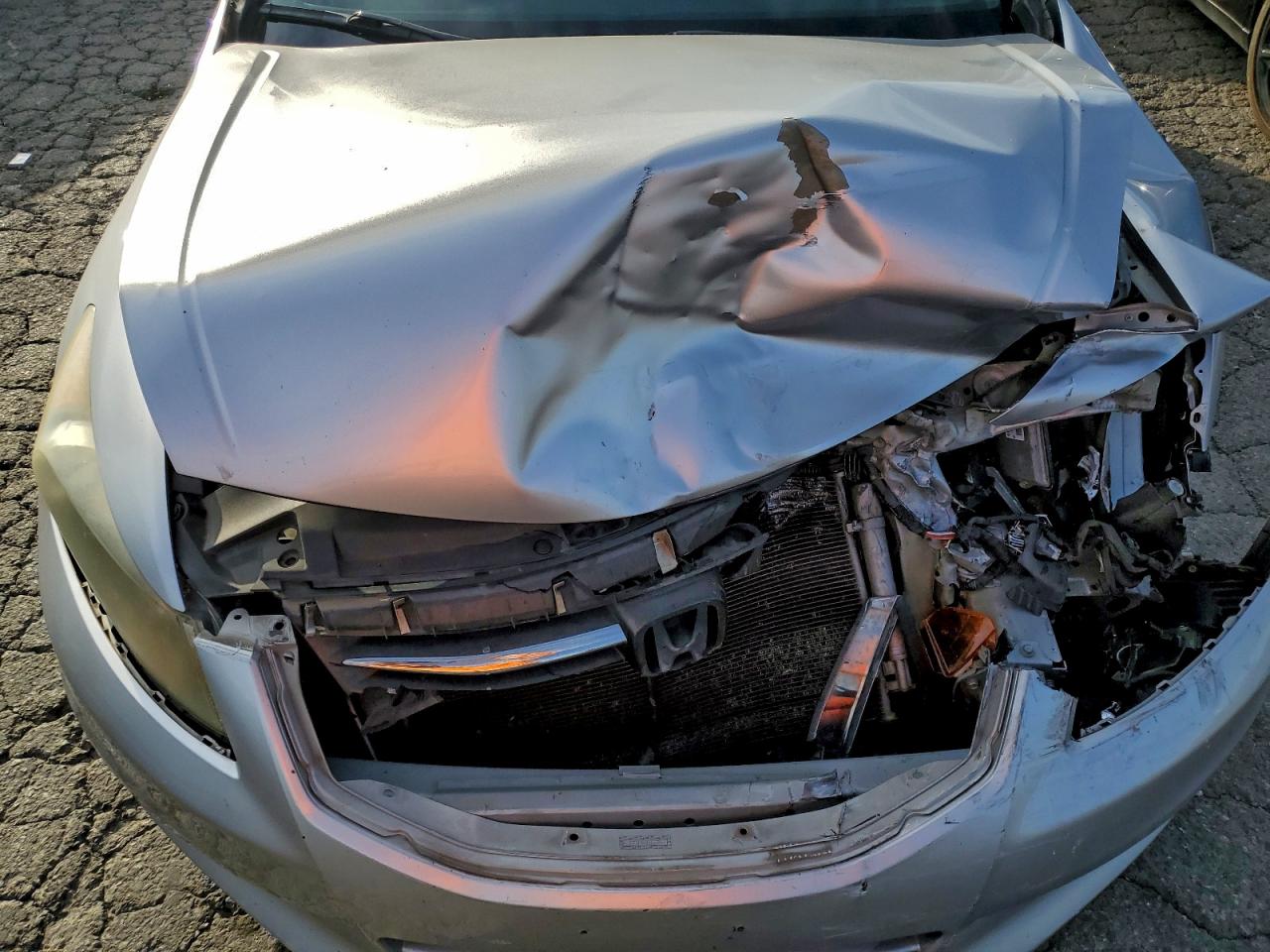 2011 Honda Accord Exl Silver vin: 1HGCP3F85BA015924