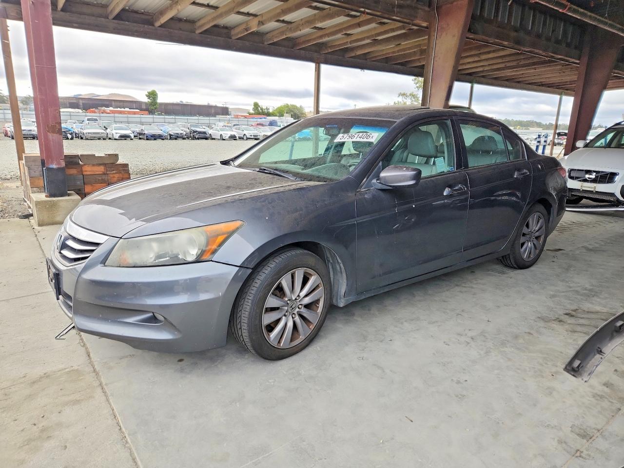 2011 Honda Accord Exl Gray vin: 1HGCP3F85BA016006