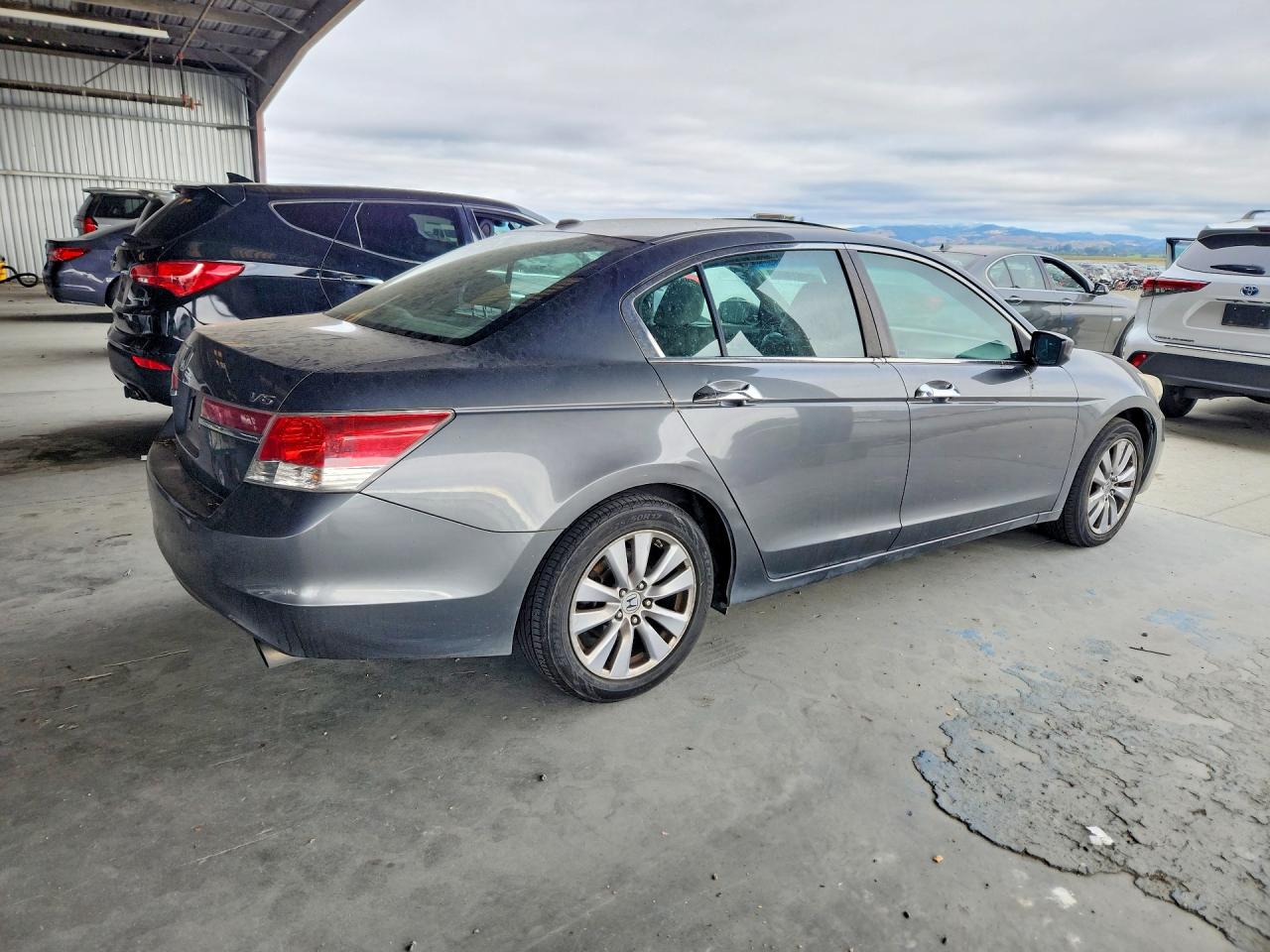 2011 Honda Accord Exl Gray vin: 1HGCP3F85BA016006