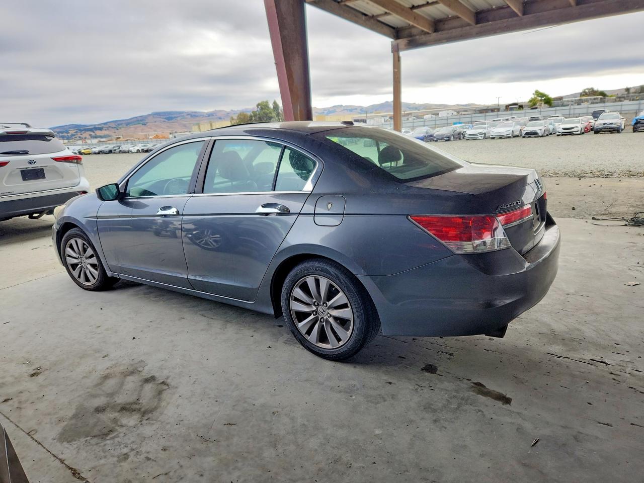 2011 Honda Accord Exl Gray vin: 1HGCP3F85BA016006