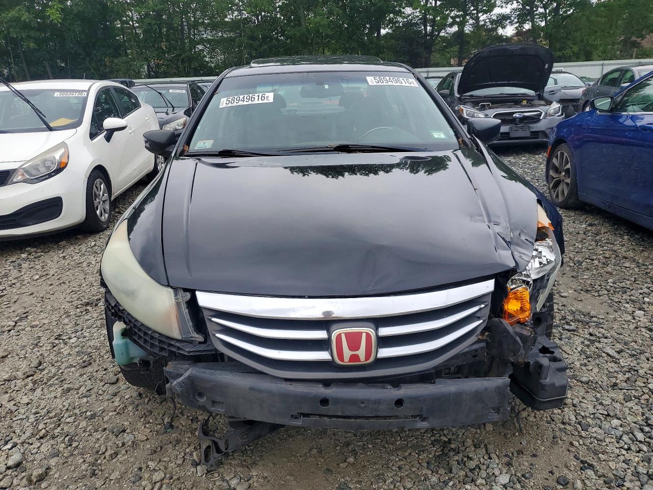 2012 Honda Accord Exl Black vin: 1HGCP3F85CA015388