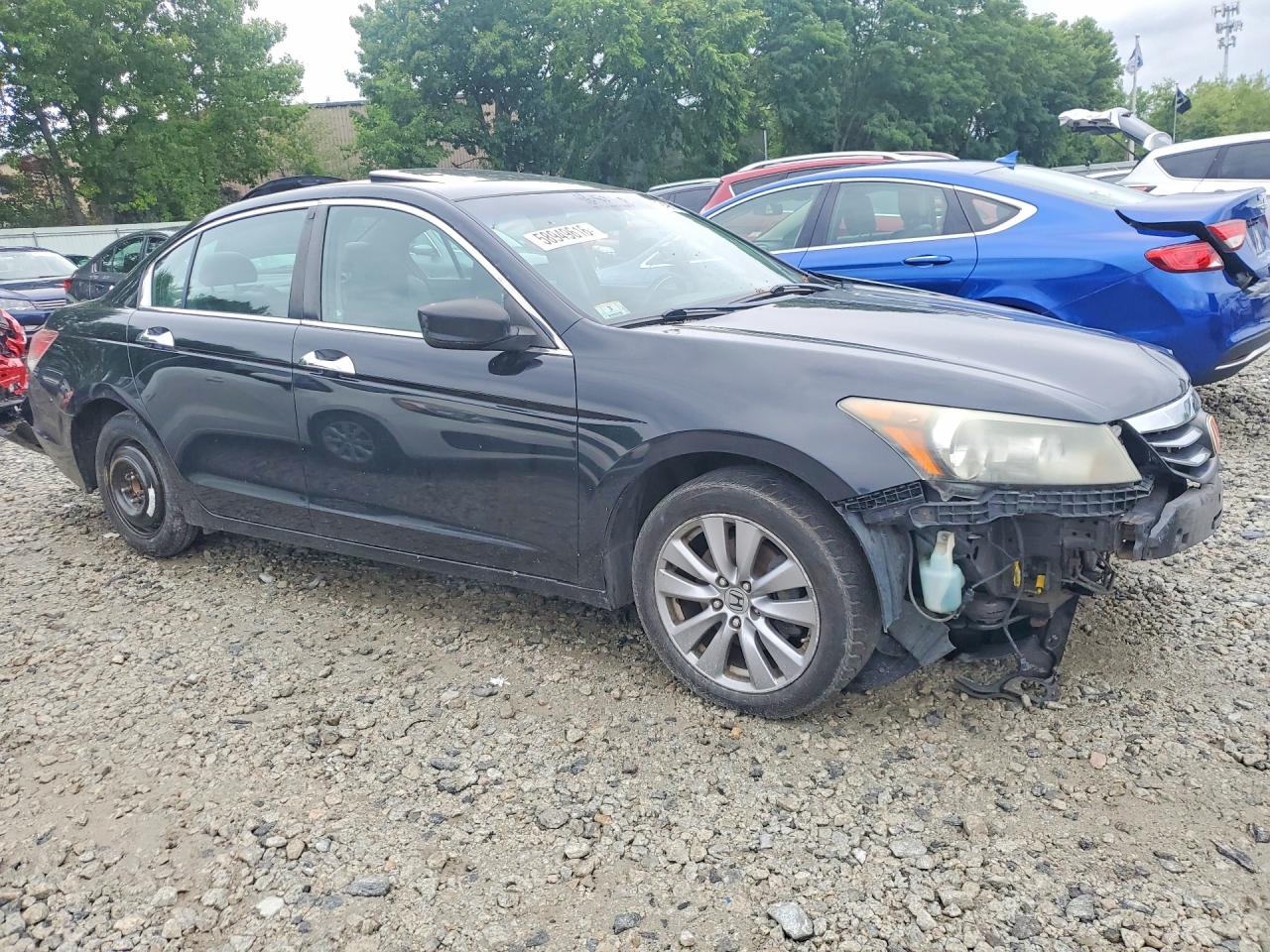 2012 Honda Accord Exl Black vin: 1HGCP3F85CA015388