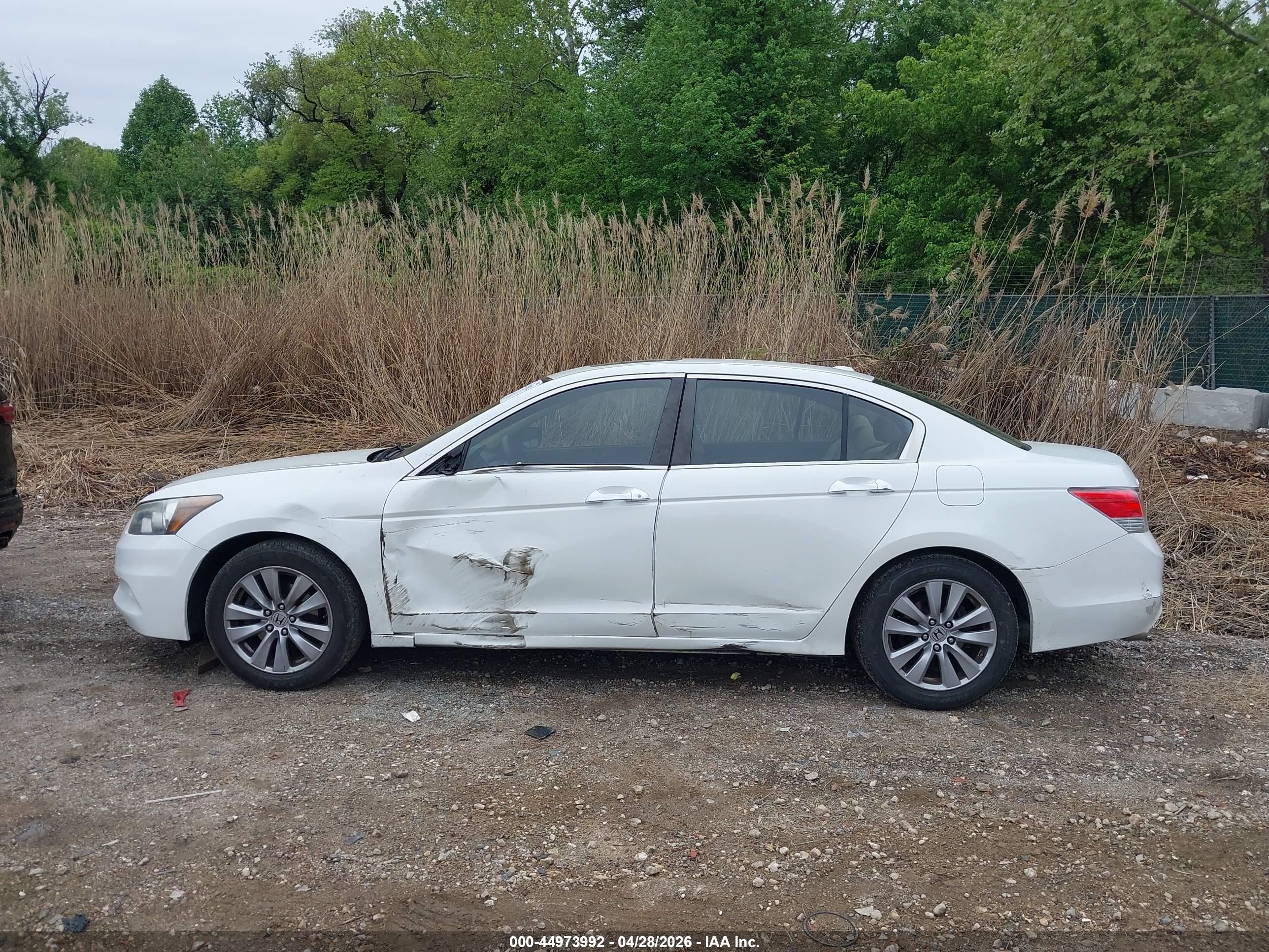 2012 Honda Accord 3.5 Ex-l White vin: 1HGCP3F85CA038248