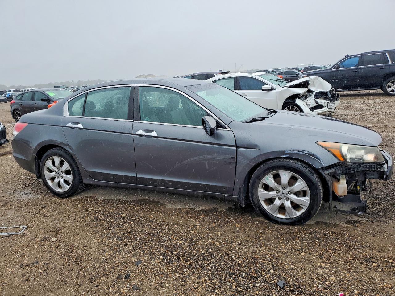 2010 Honda Accord Exl Серебряный vin: 1HGCP3F86AA025814
