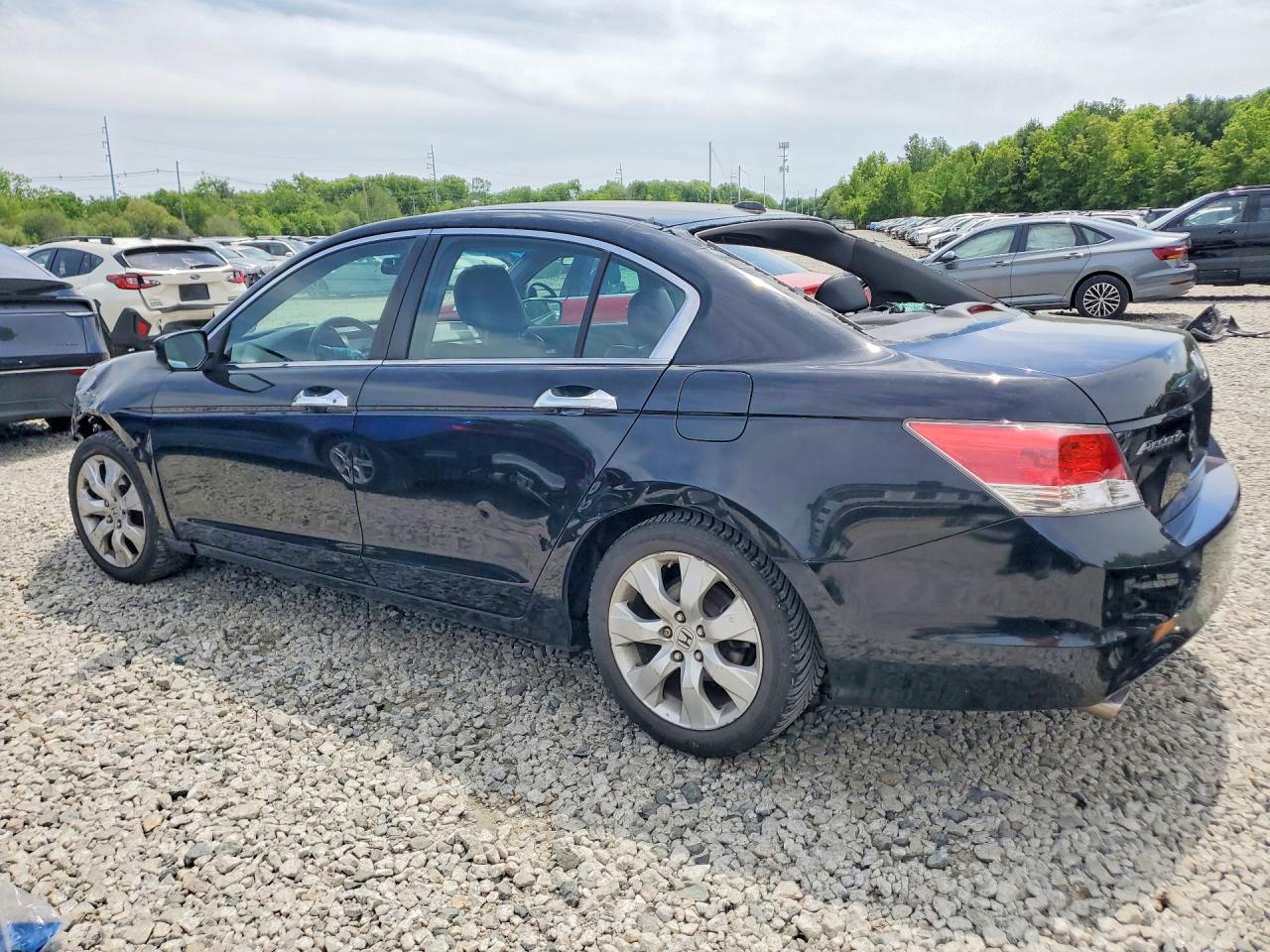 2010 Honda Accord Exl Black vin: 1HGCP3F86AA026266