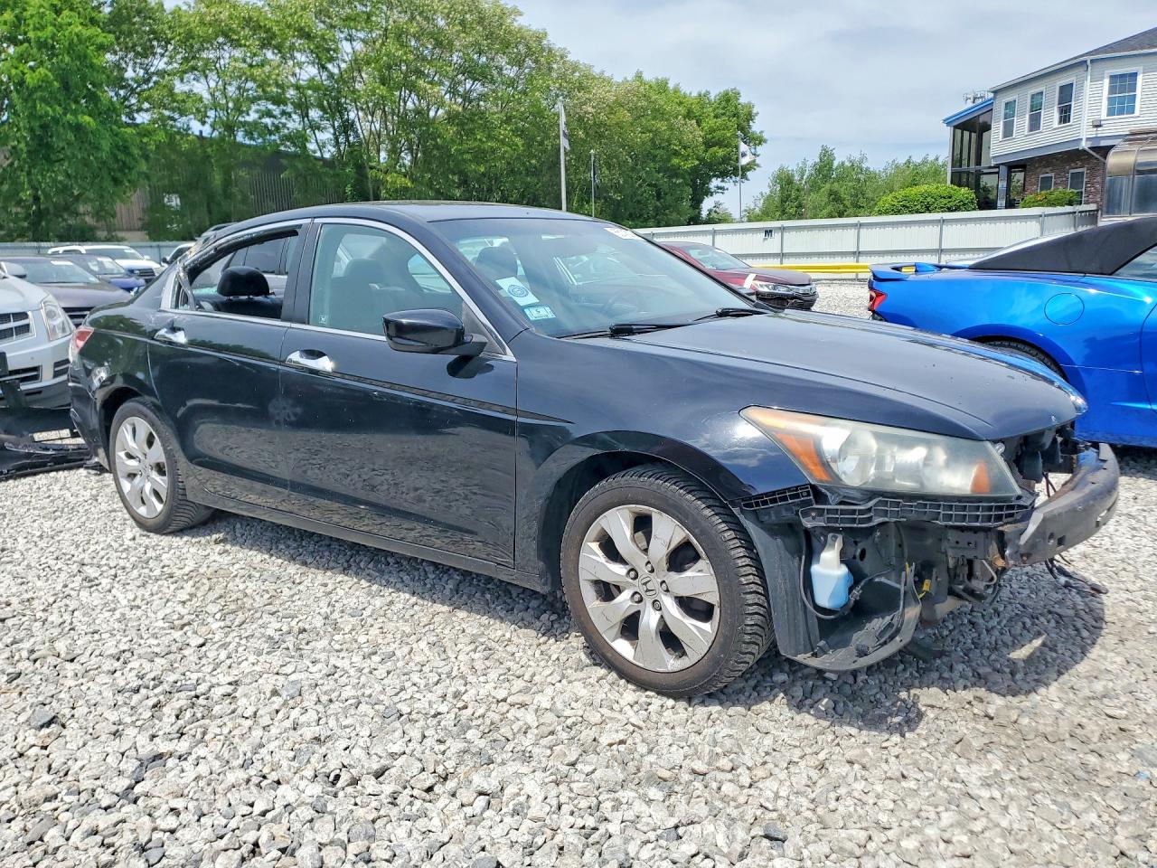 2010 Honda Accord Exl Black vin: 1HGCP3F86AA026266