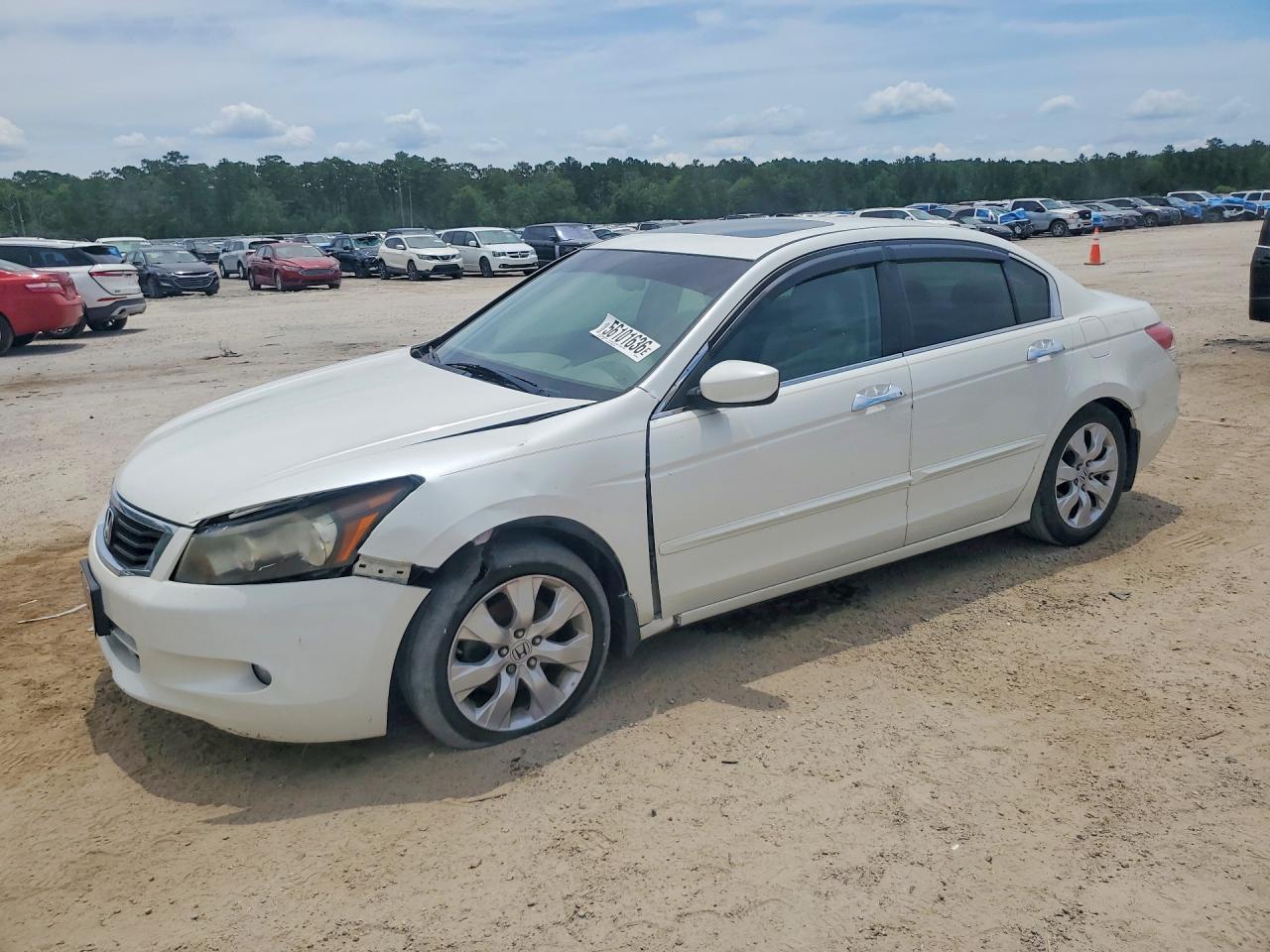 2010 Honda Accord Exl White vin: 1HGCP3F86AA026770